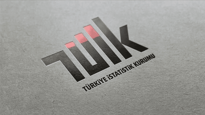 İnternet Kullanımı