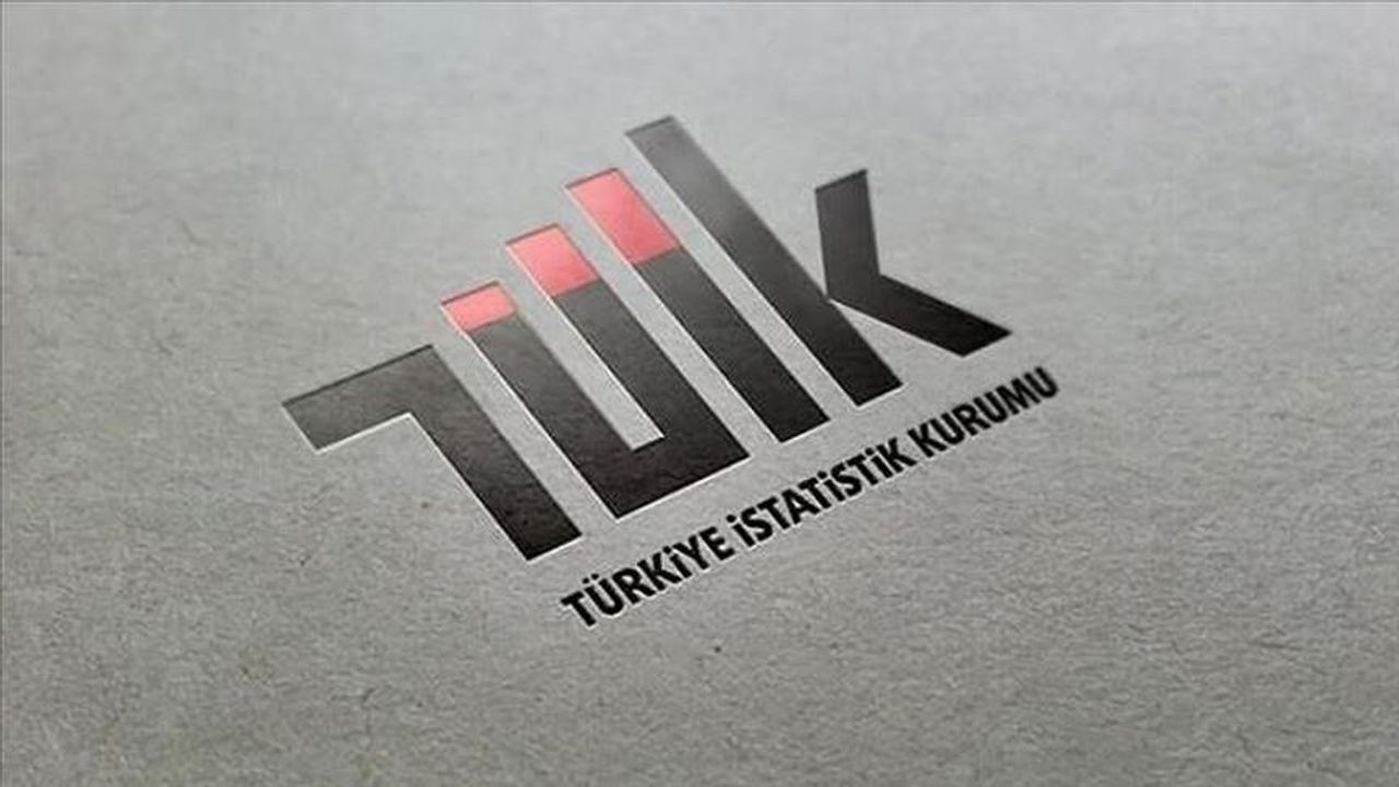 İnternet Kullanımı