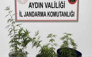 Kuşadası uyuşturucu